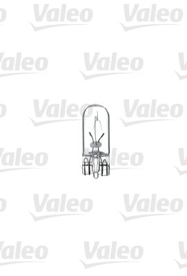 Ampoule, feu clignotant ESSENTIAL