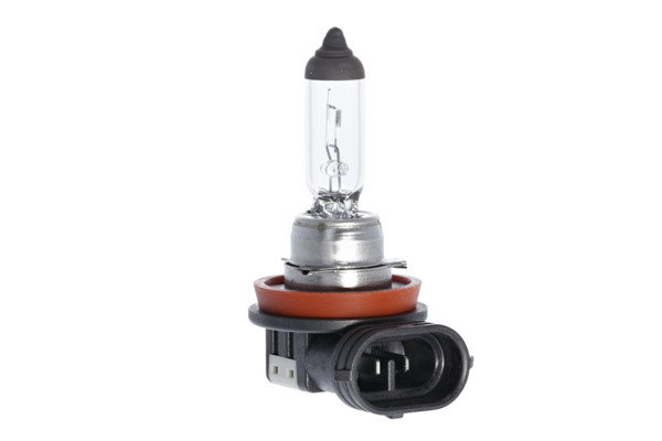 Ampoule, projecteur antibrouillard ESSENTIAL