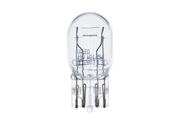 Ampoule, feu clignotant ESSENTIAL