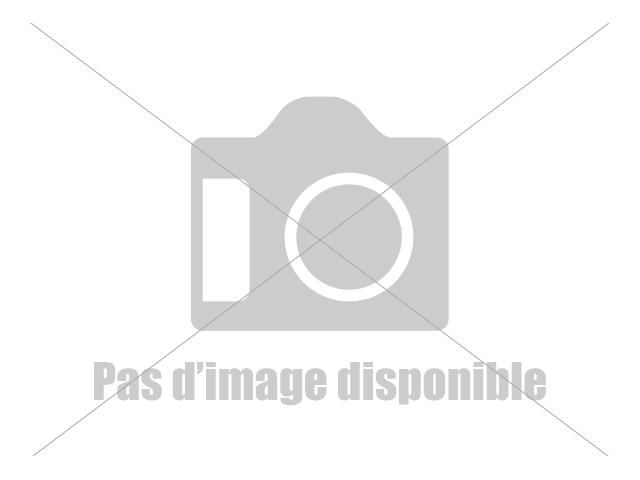 Armortisseur pneumatique