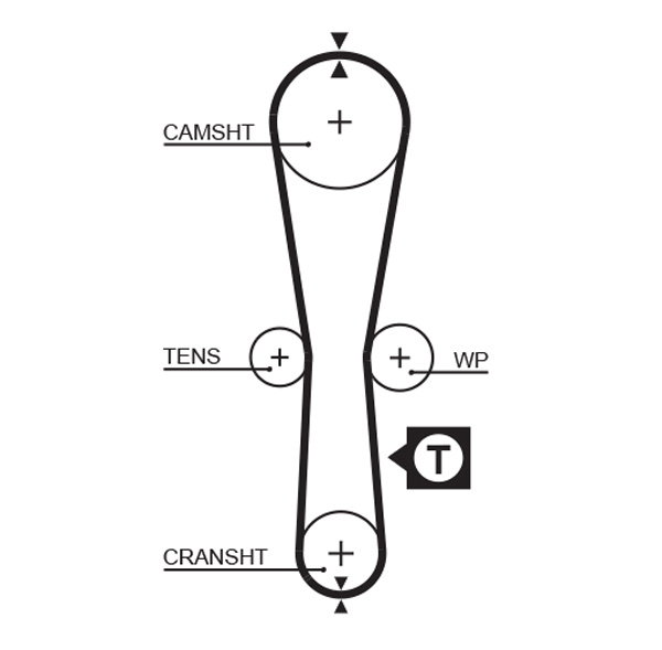 Courroie de distribution PowerGrip®