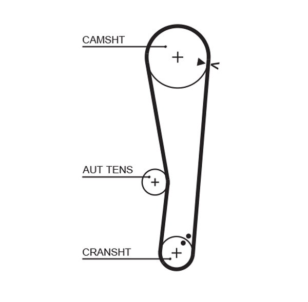 Courroie de distribution PowerGrip®