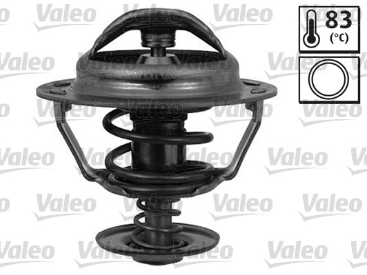 Thermostat d'eau